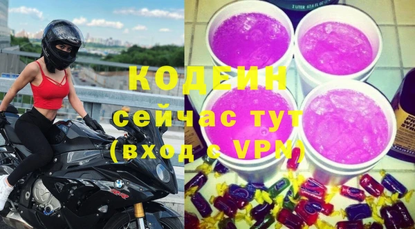 дживик Богородицк