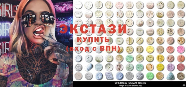 дживик Богородицк