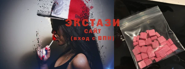 дживик Богородицк