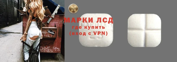 spice Богородск