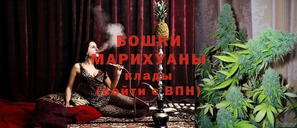 дживик Богородицк