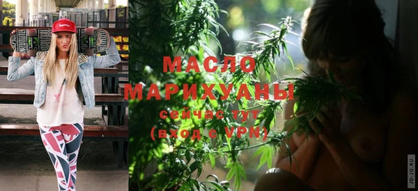 дживик Богородицк