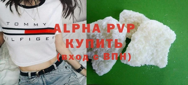 дживик Богородицк